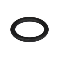 Ущільнювальне кільце(5020079)