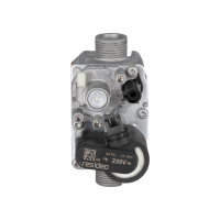 ГАЗОВИЙ КЛАПАН (3000001924)